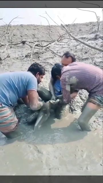 Поймали рыбку на червячка 😳😡