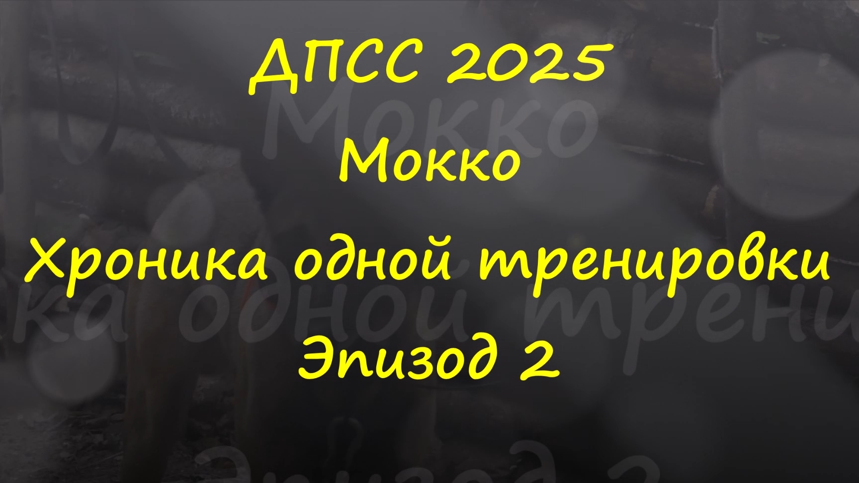 Малинуа Мокко. Хроника одной тренировки. Эпизод 2.
