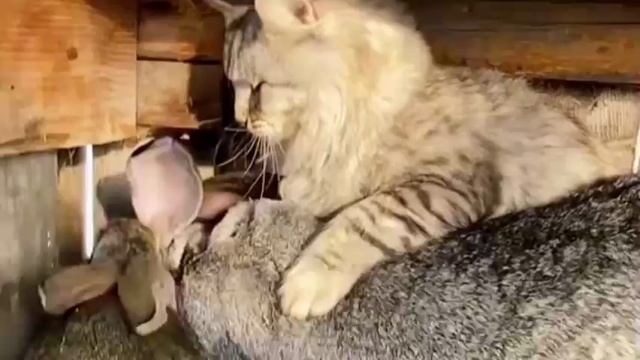 Не может быть! 💕
