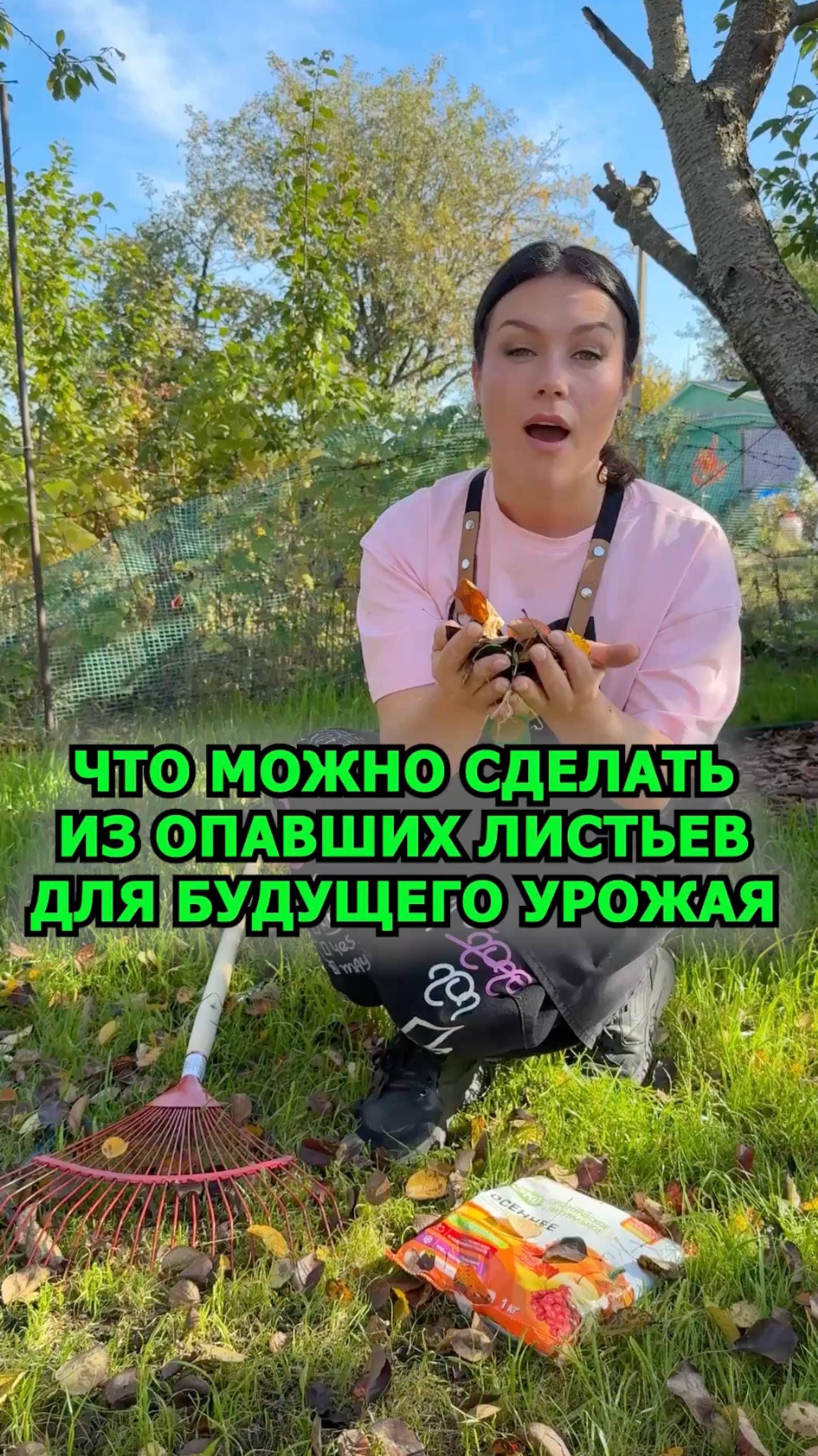 Что сделать с опавшими листьями для большого урожая в 2026 году