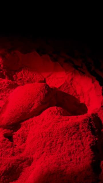 Черепахи в Омане Апельсин тревел 🍊