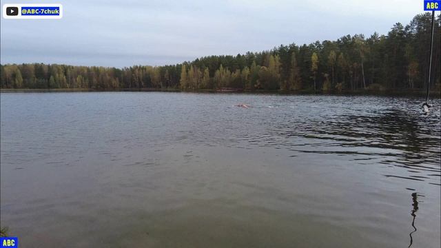 Праздничный заплыв 07.10.2025 #юныйпрадедбодрыйдед #авсарх