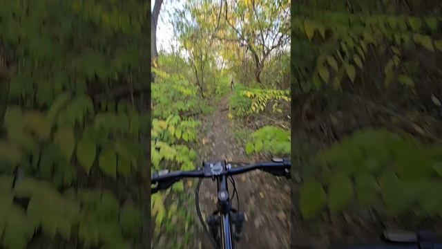 Лесопарк Красный Кут, Краснодар.