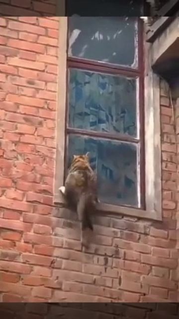 Мама не оставит в беде