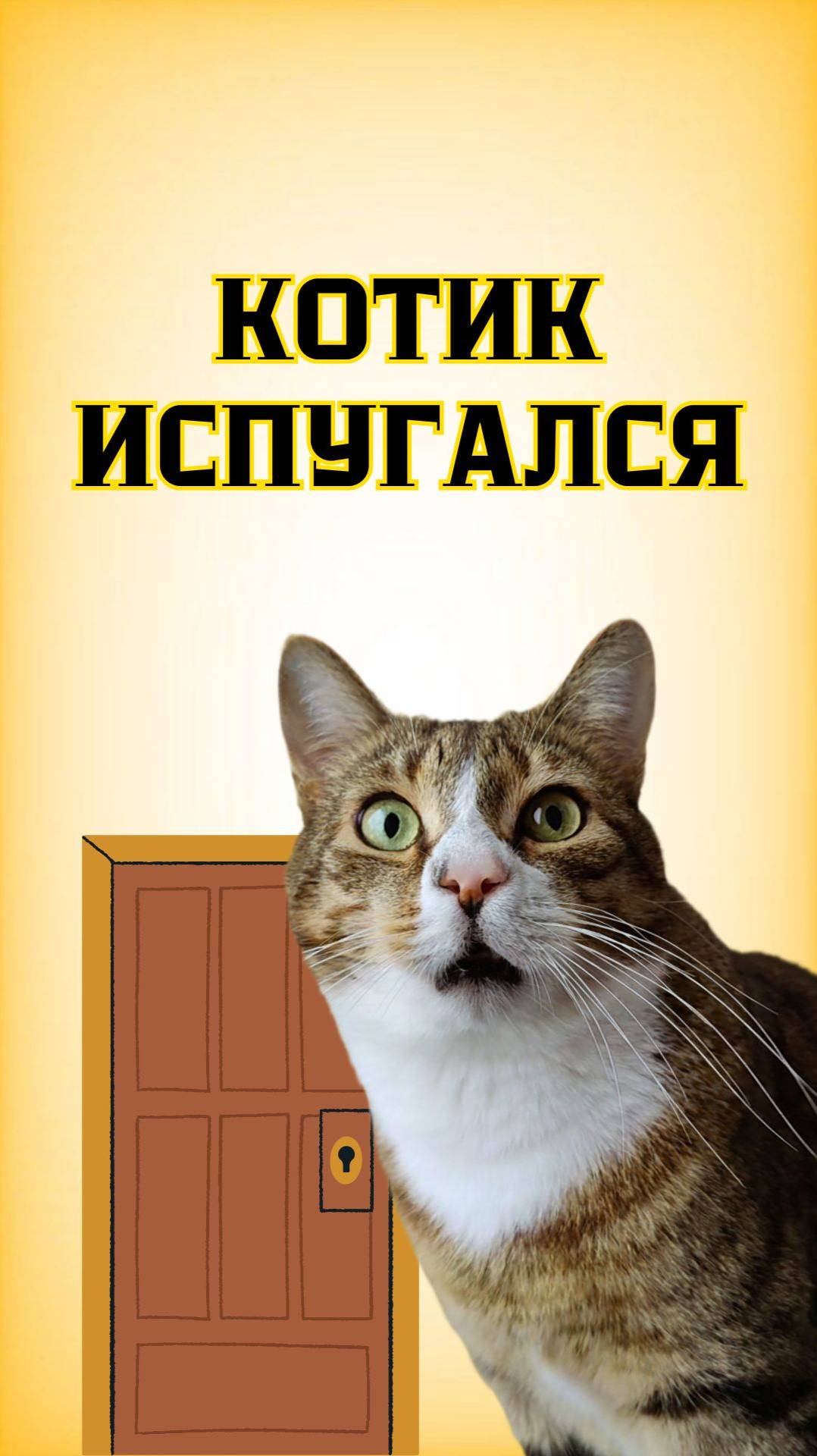 Чего испугался кот?😳