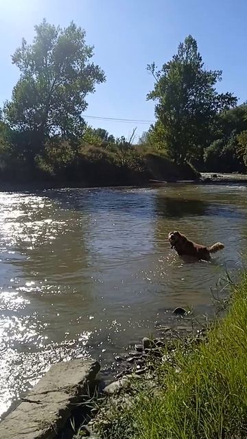 VID_20250922_145953.mp4