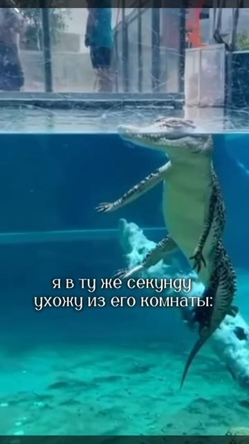 Коврик водный для малышей 