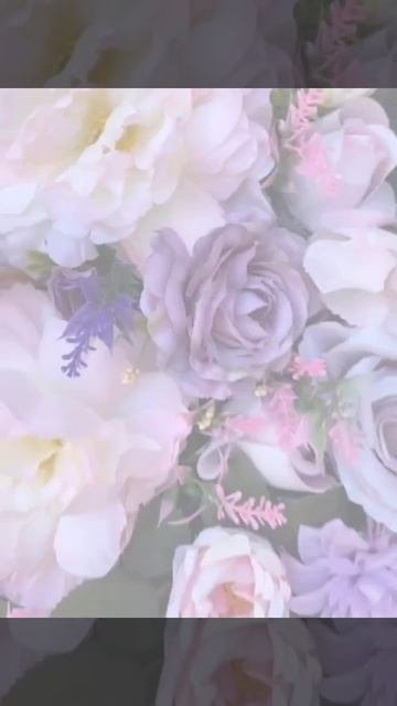 InShot_20251008_154642765