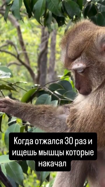 Нам хочется все и сразу #святнаспорте #мотивация #тренировки #бокс #победа воспитание #самурай #борь