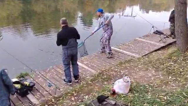 Резина