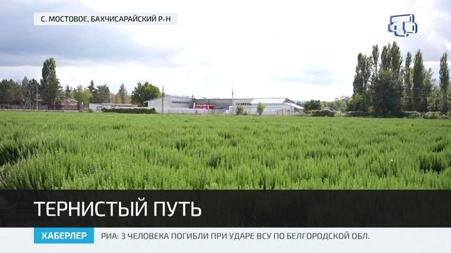 В Бахчисарайском районе процветает производство зелени в одном из кооперативов