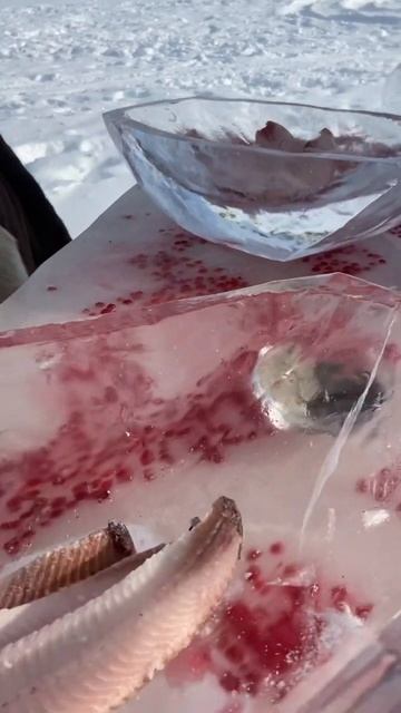Строганина строганина ямал
