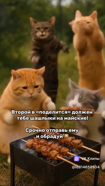 Сезон шашлыков