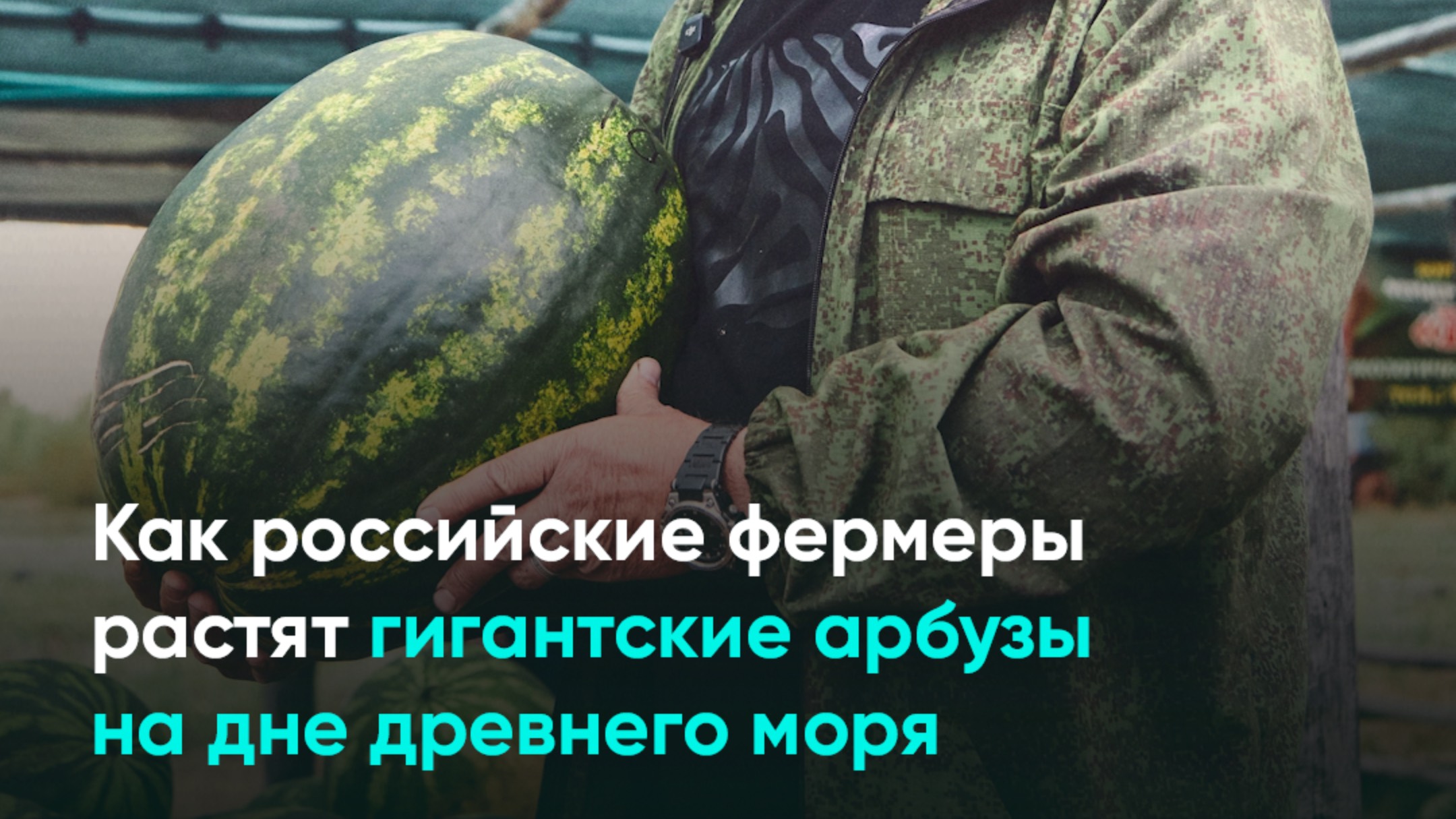 Как российские фермеры растят гигантские арбузы на дне древнего моря