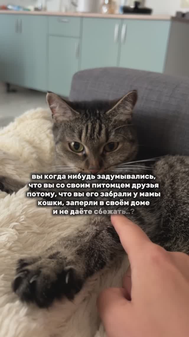 А вы задумывались?