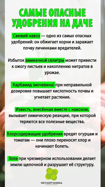 Самые опасные удобрения на даче