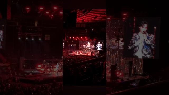 Loves not over yet и Лебеди