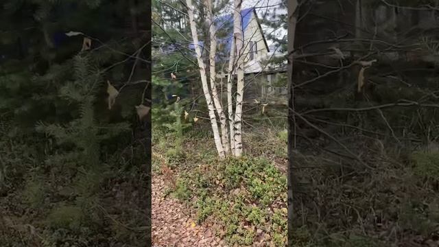 Просто день