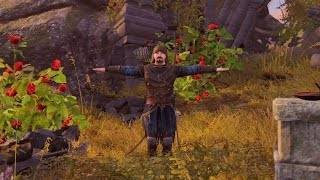 Tainted Grail: The Fall of Avalon. Часть 48: Аронди в наших руках!