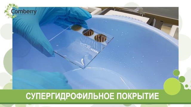 Комберри. Технология производства супергидрофильных самоочищающихся покрытий для стекол