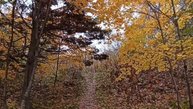 Осенняя прогулка. Южно-Сахалинск