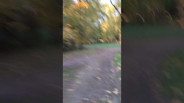 Нас квантово на_Бали?