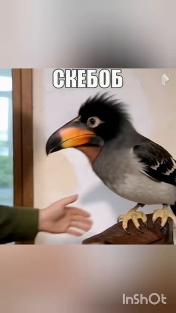 скебоба забрали на СВО