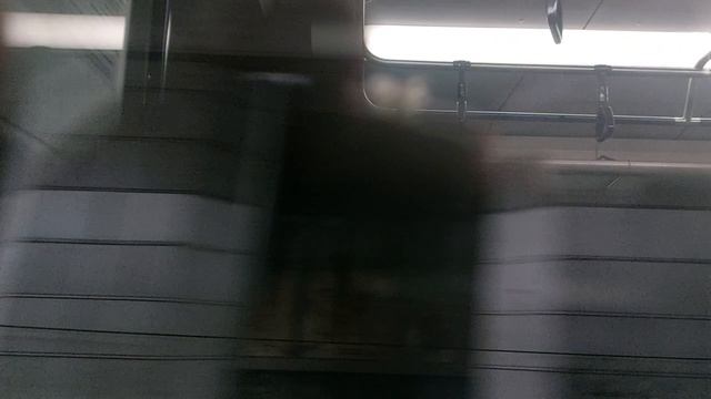 Москва едем едем по Москве .октябрь 2025