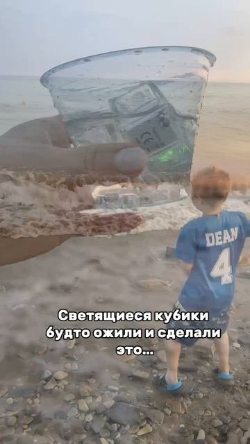 Арт. Wb #216754000