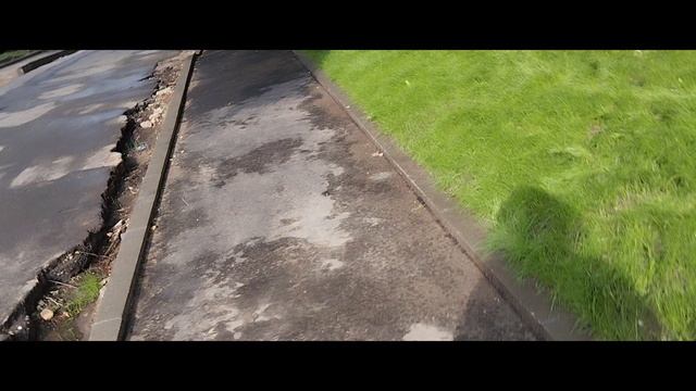 Мы идём гулять с собакой! | 31-июл-2025, 3