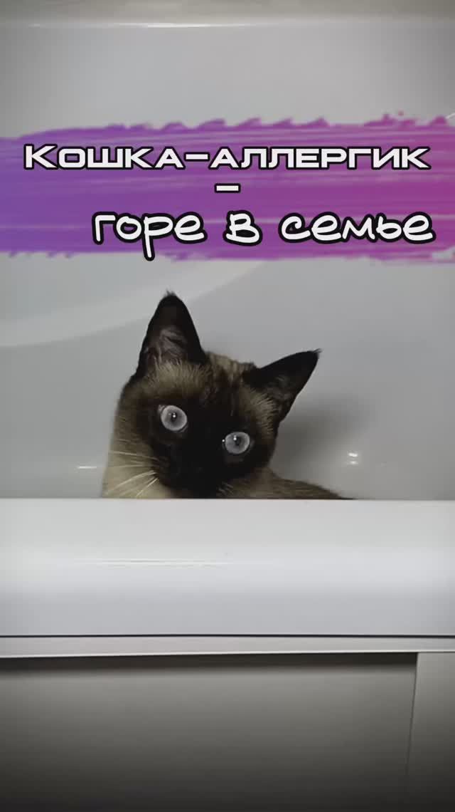 Не забудь❤️
