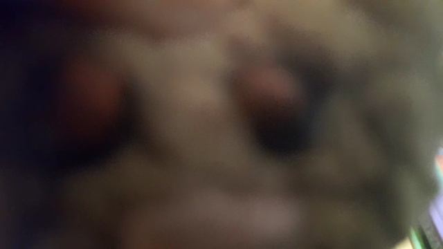 игрушки в RYTP 27 дом дураков