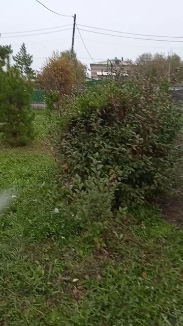 ура у меня снег немного падает