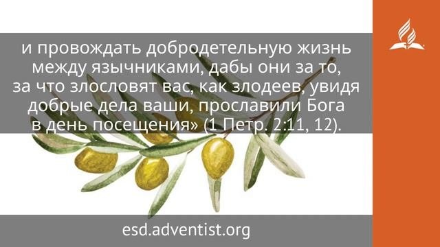 9 октября 2025. Здесь, но еще нет. Под сенью благодати | Адвентисты
