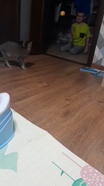 Сын играет с котом 