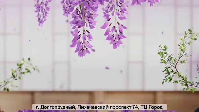 ТРАНСМЕДИА  Тануки