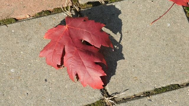 07=10=2025 ник ПВН (3)