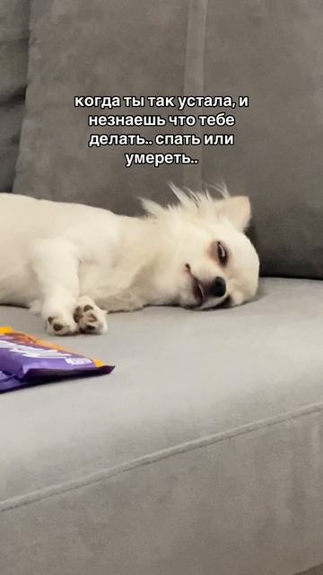 Она выбрала и то и другое 😁