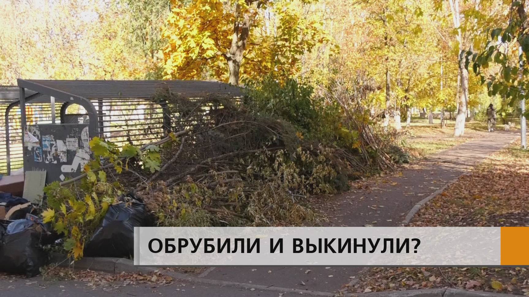 Еловые лапы, мешки с мусором и старая мебель