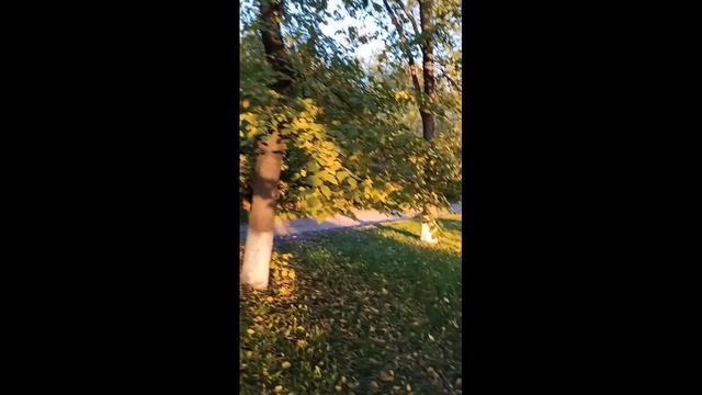 1000021233.mp4