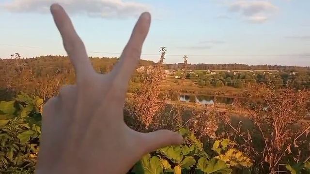 VID-20251008-WA0517.mp4