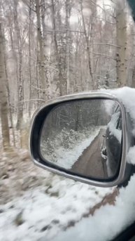 В лесу красота ❄️