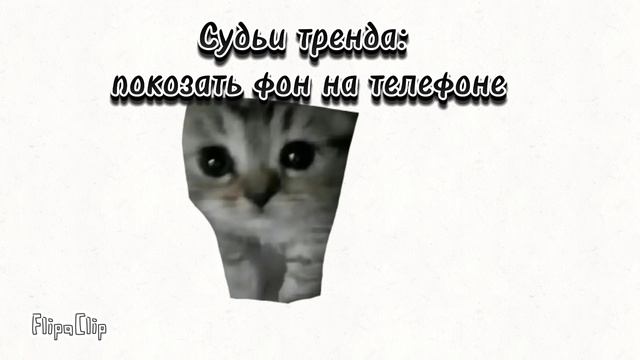 Судь тренда: показать фон на телефоне