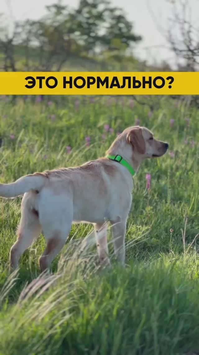 Ответы жду в комментариях ✍🏻