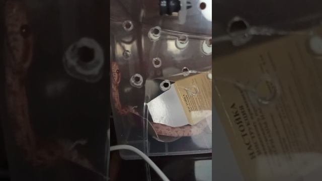 Когда отключили свет... 8 октяюря 2025 г.