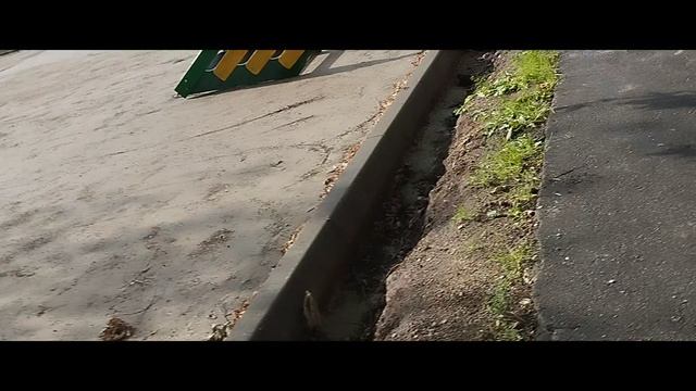Мы идём гулять с собакой! | 31-июл-2025, 2
