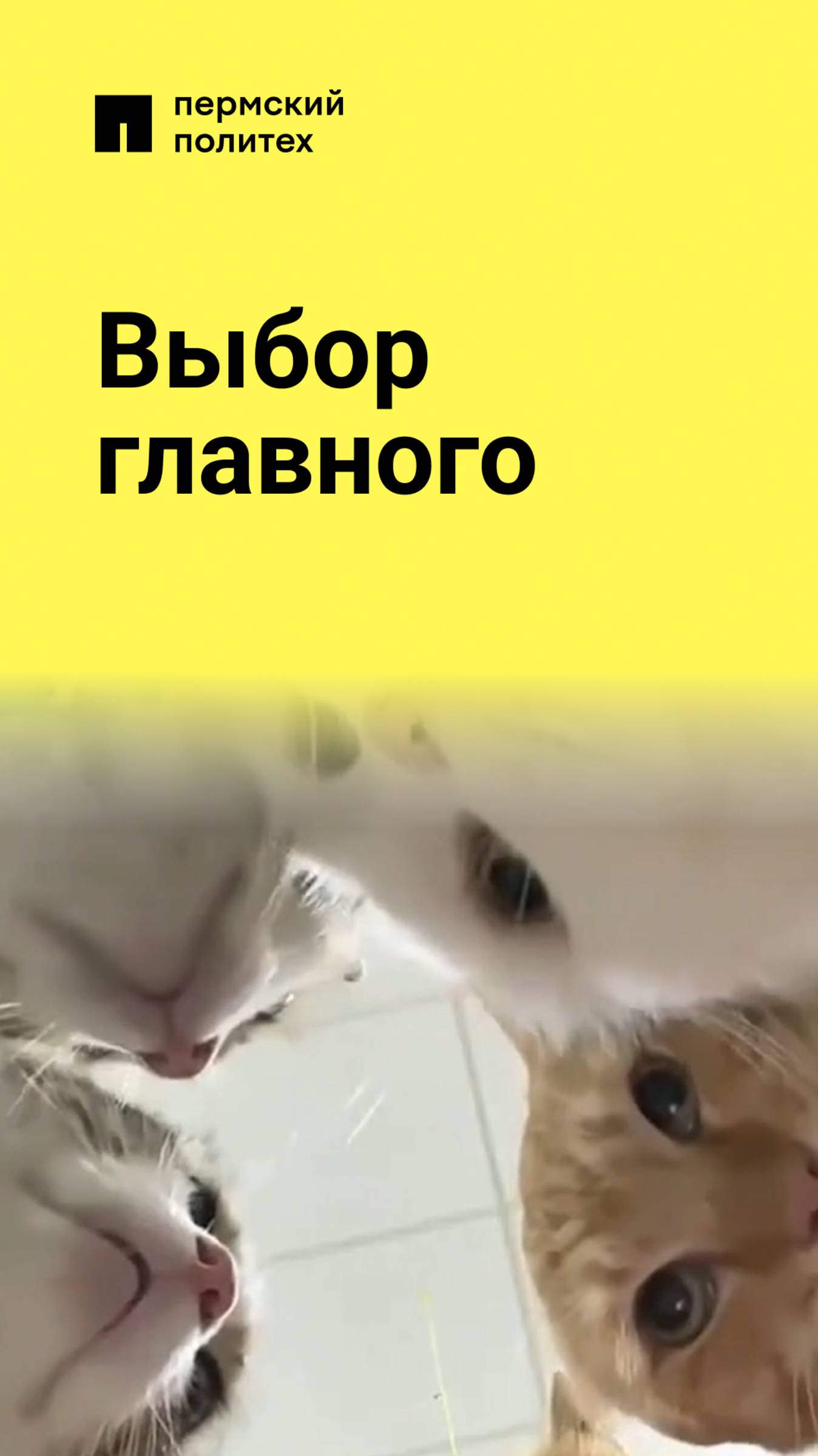 Совет группы решает, кому доверить самую опасную миссию