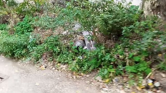 Кисловодск изнутри! ул.Чкалова. 7.10.2025 г.