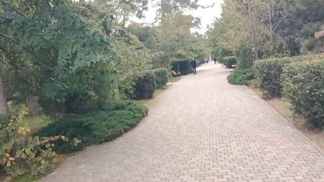 Анапа. Сквер Гудовича. Затянуло пасмурностью 8 октября 2025
