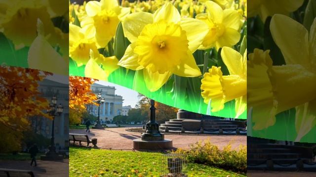 группа Сентябрь альбом